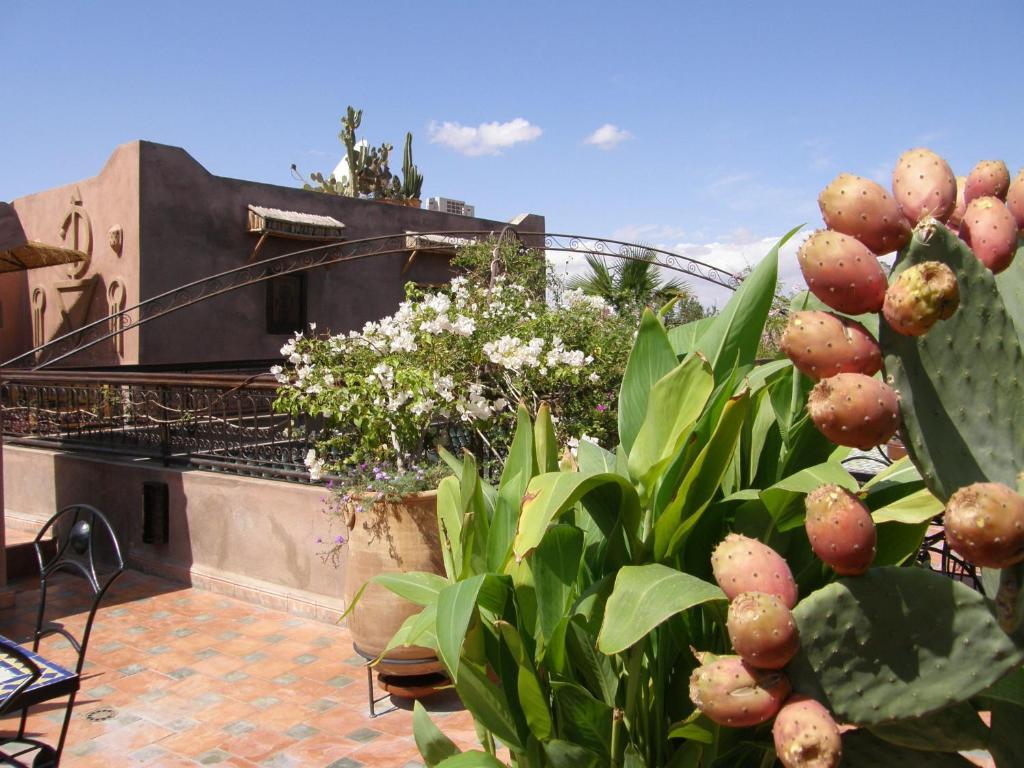 Riad Mehdia Marrakesh Exterior photo