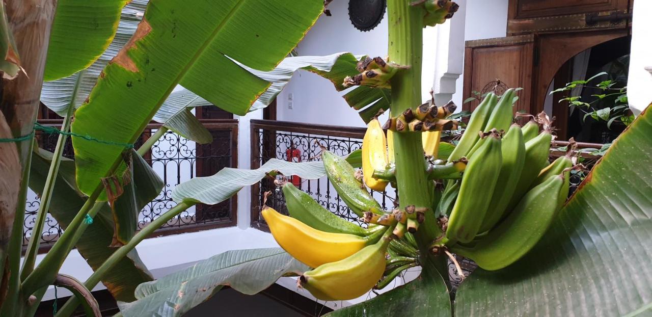 Riad Mehdia Marrakesh Exterior photo